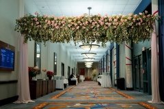 IMG_1539